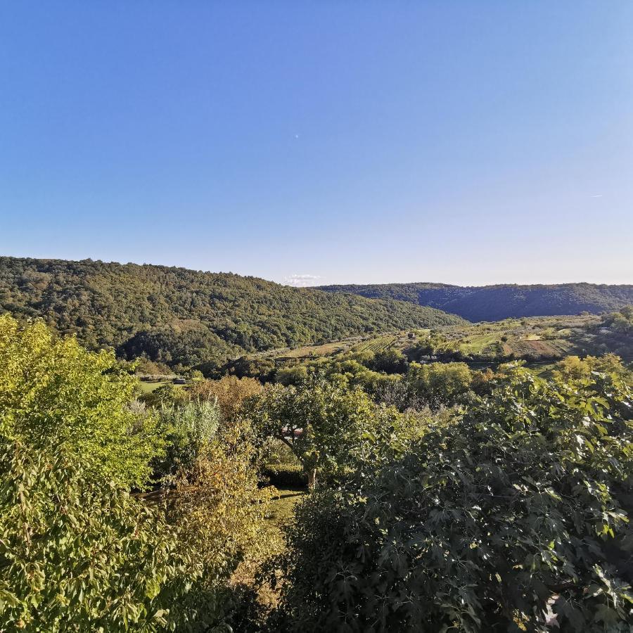 Apartma Zan Šmarje Exterior foto
